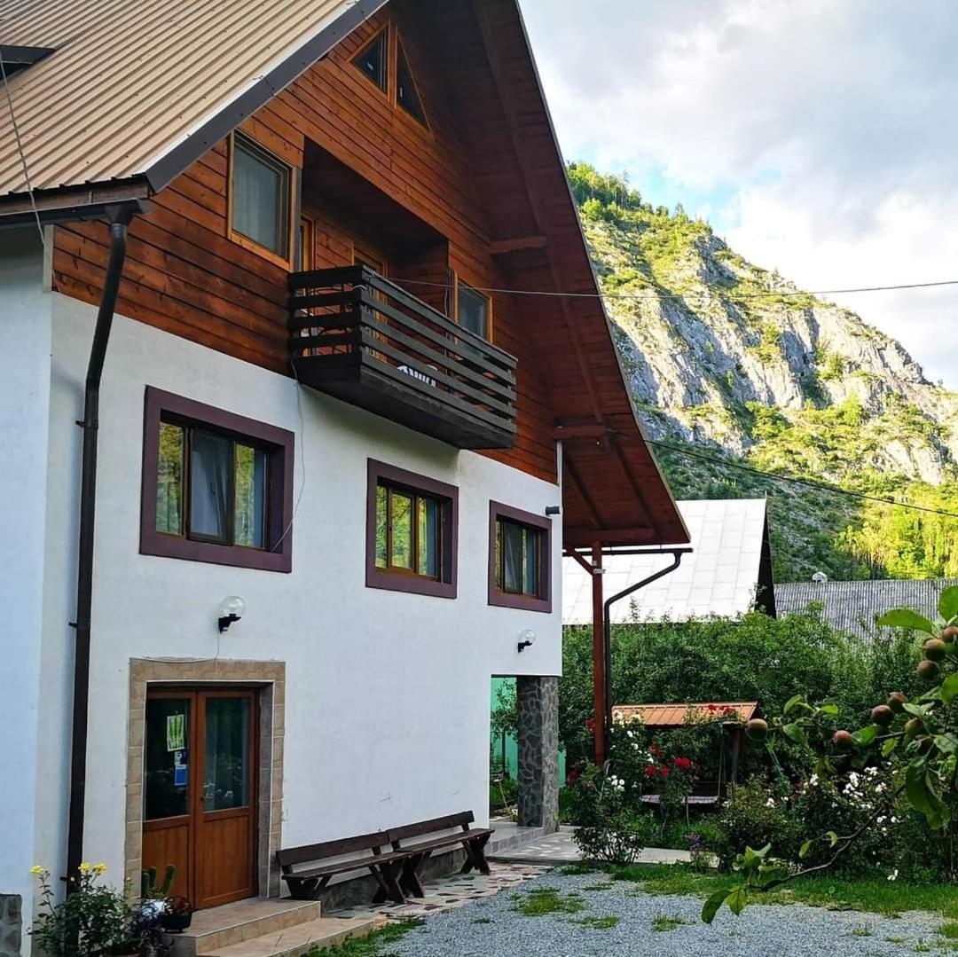 Pensiunea Piatra Mandrutului Scarisoara  Esterno foto
