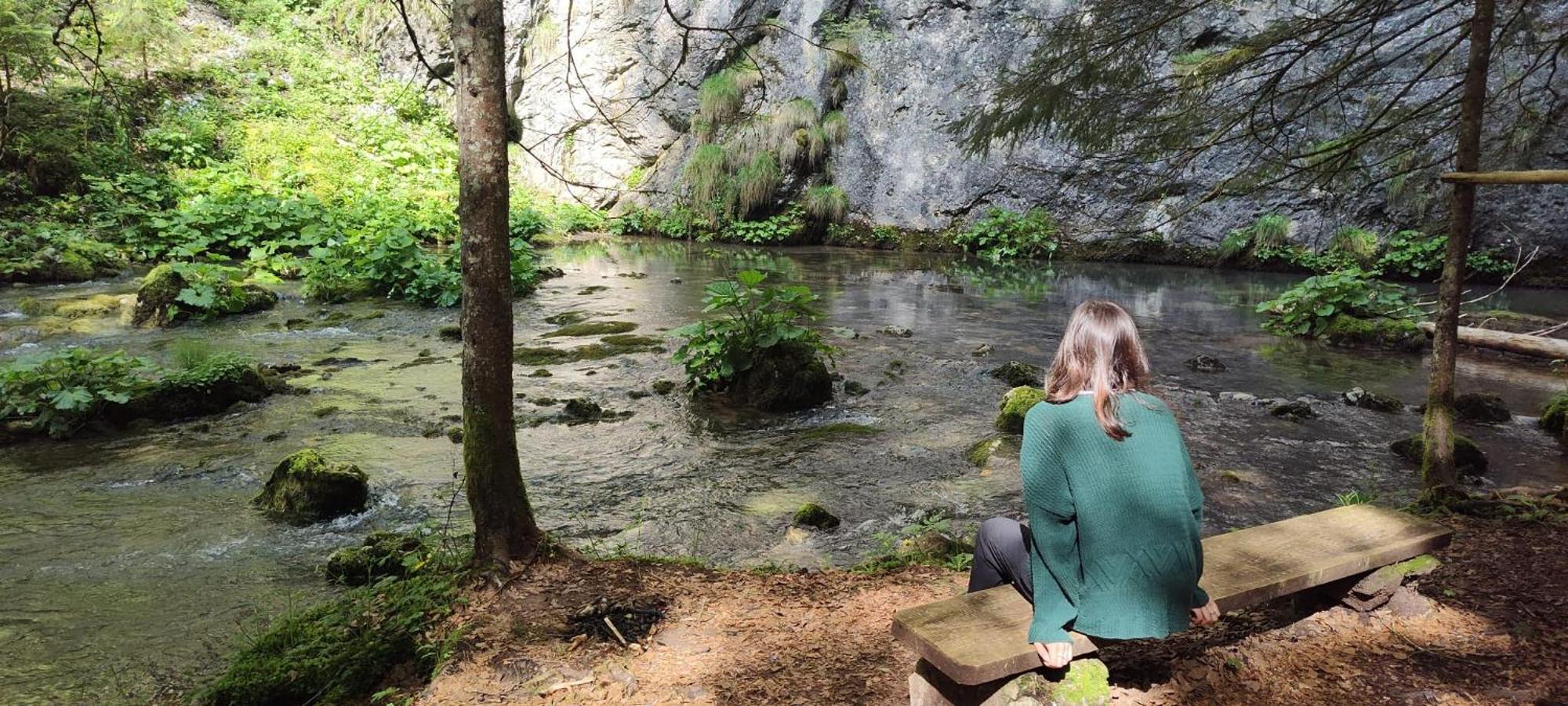 Pensiunea Piatra Mandrutului Scarisoara  Esterno foto