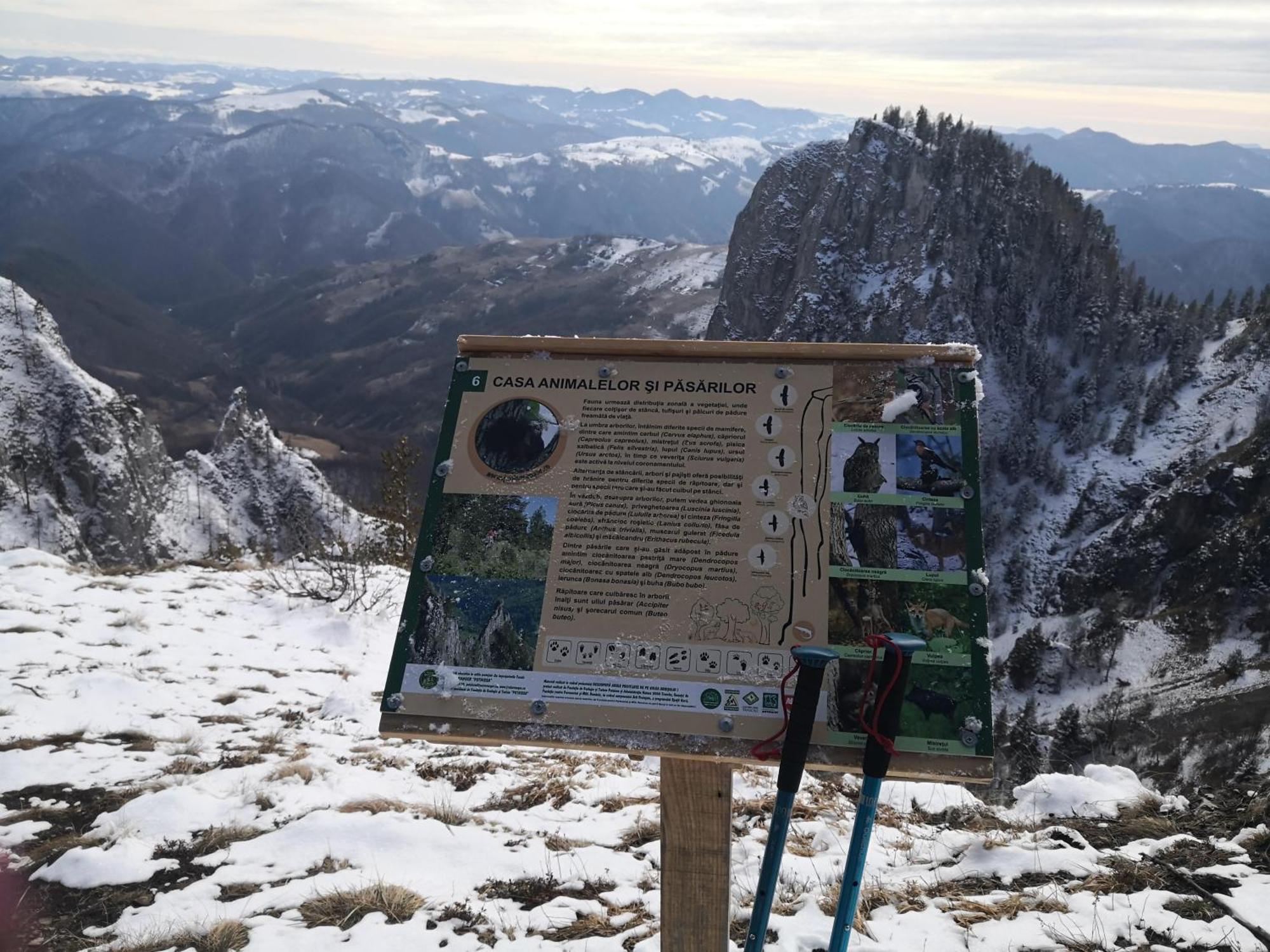 Pensiunea Piatra Mandrutului Scarisoara  Esterno foto