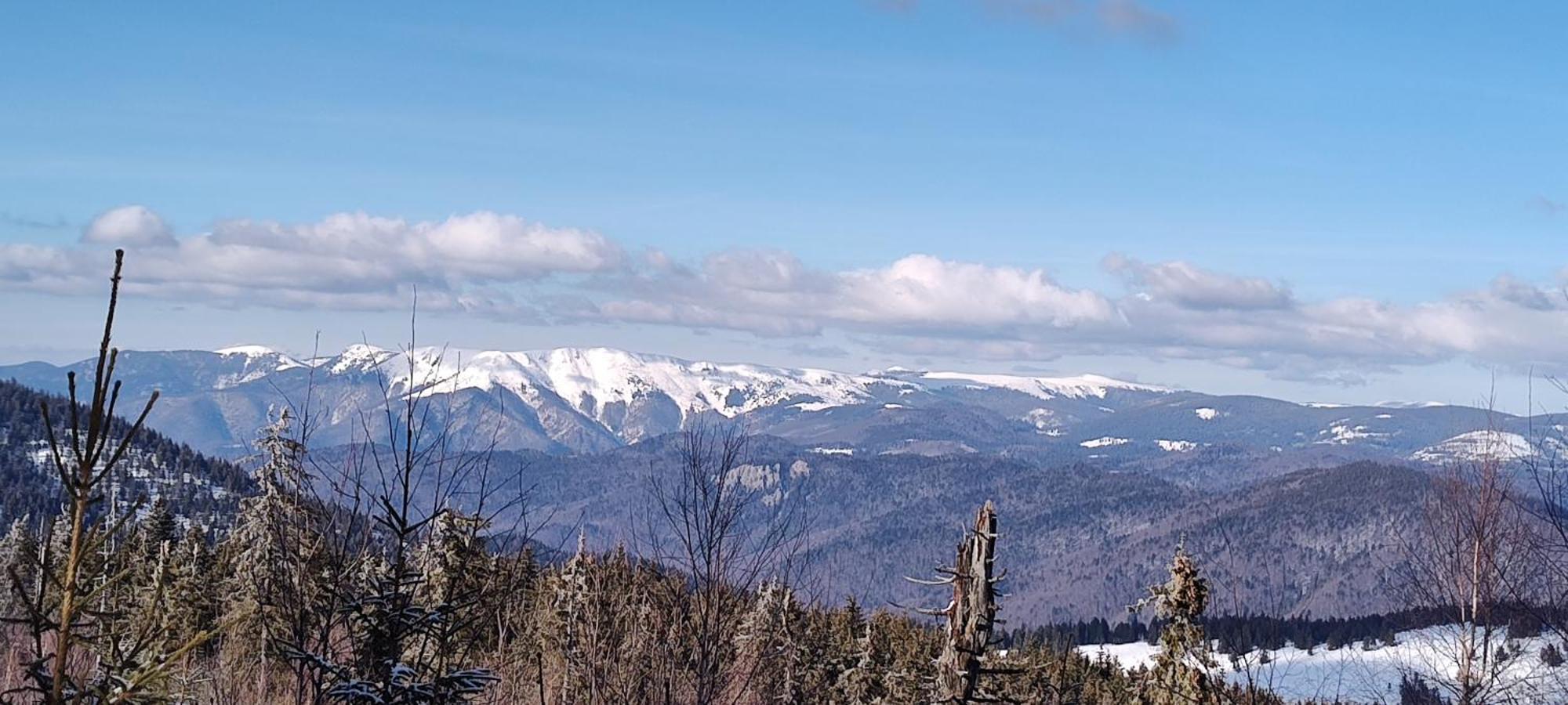 Pensiunea Piatra Mandrutului Scarisoara  Esterno foto