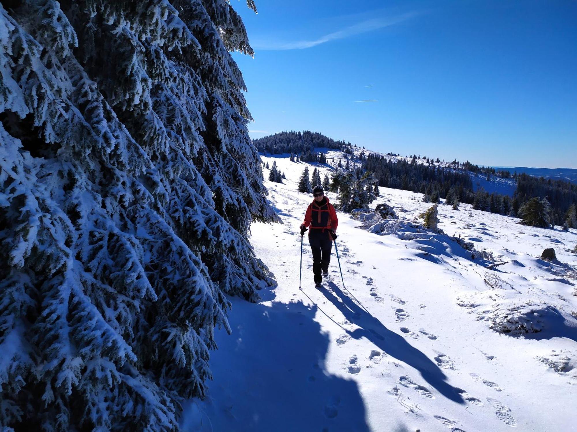 Pensiunea Piatra Mandrutului Scarisoara  Esterno foto
