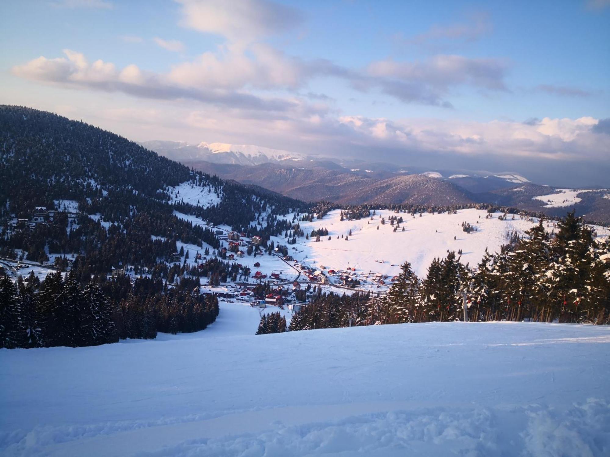 Pensiunea Piatra Mandrutului Scarisoara  Esterno foto