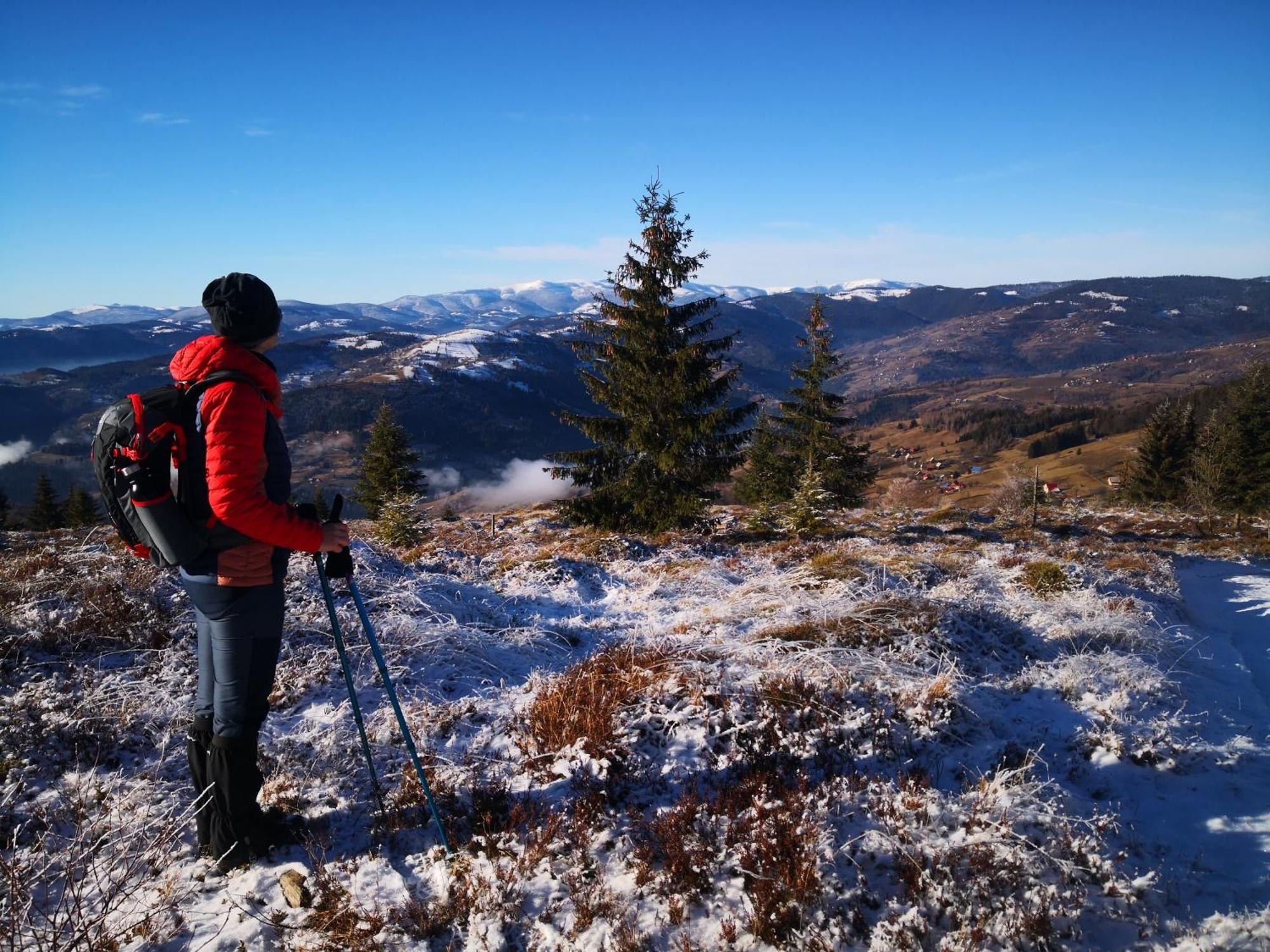 Pensiunea Piatra Mandrutului Scarisoara  Esterno foto