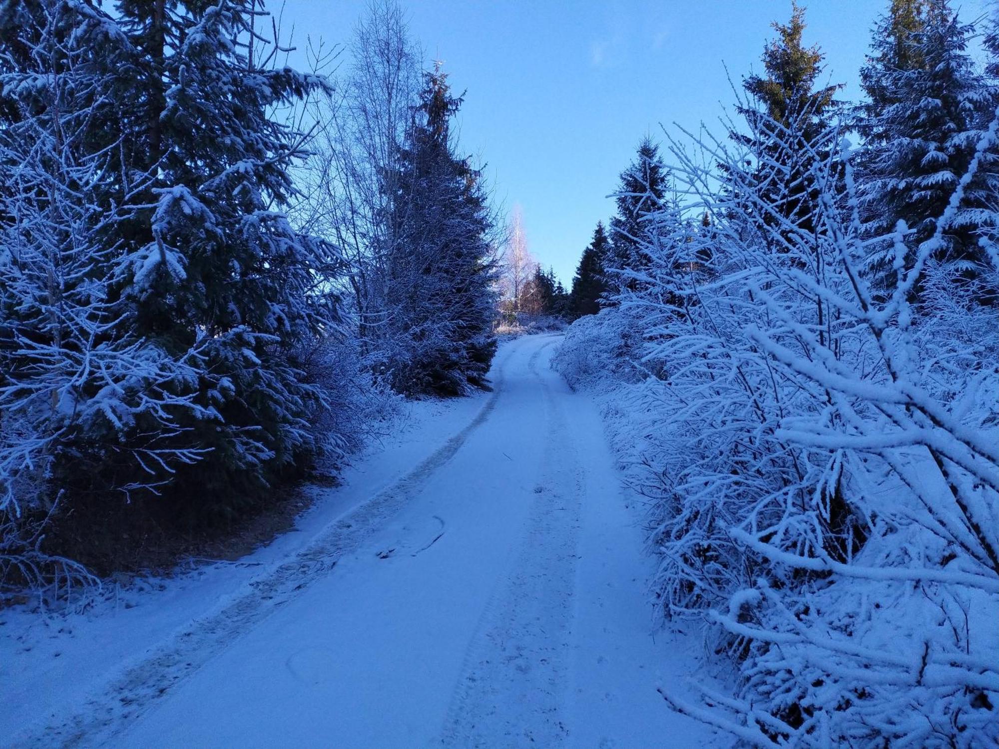 Pensiunea Piatra Mandrutului Scarisoara  Esterno foto