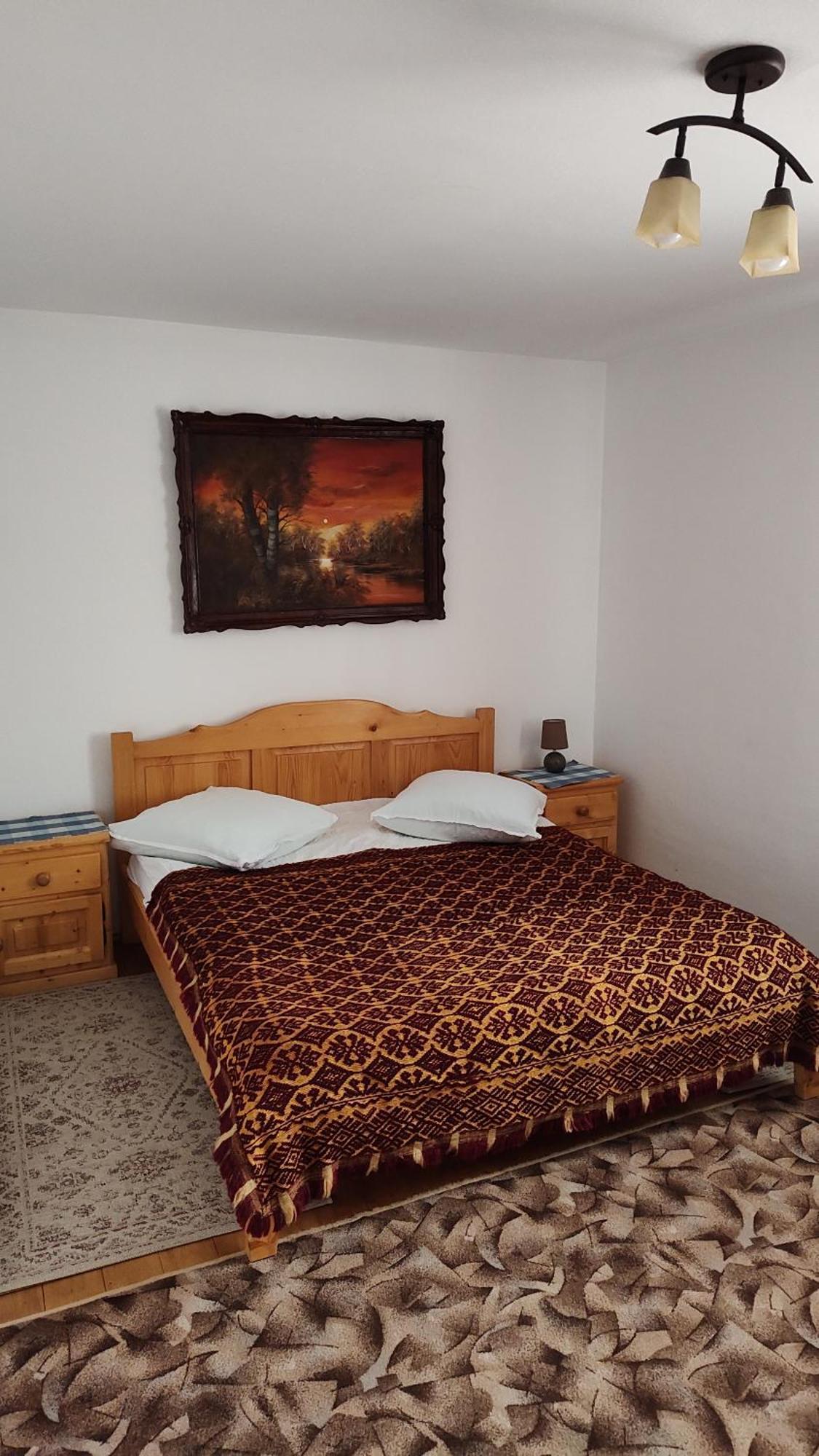 Pensiunea Piatra Mandrutului Scarisoara  Esterno foto