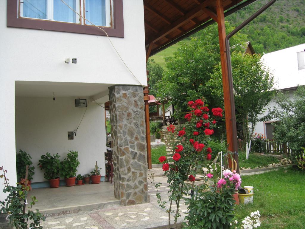 Pensiunea Piatra Mandrutului Scarisoara  Esterno foto