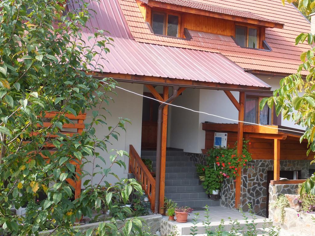 Pensiunea Piatra Mandrutului Scarisoara  Esterno foto