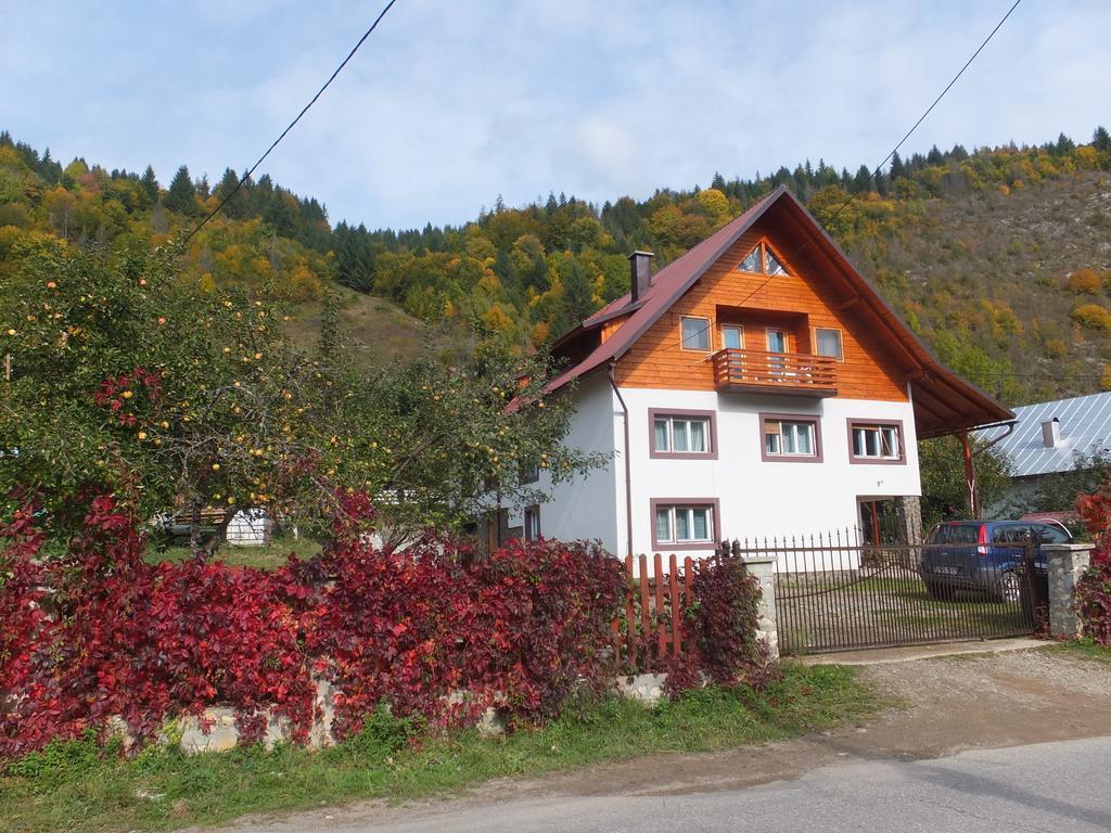 Pensiunea Piatra Mandrutului Scarisoara  Esterno foto