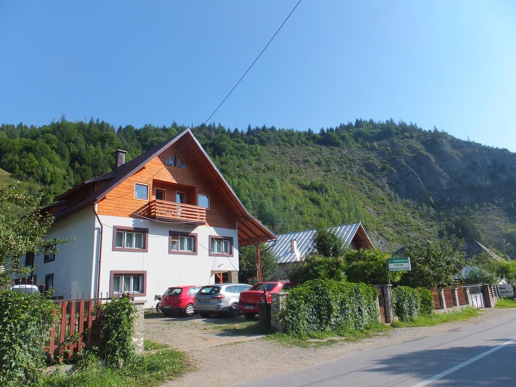 Pensiunea Piatra Mandrutului Scarisoara  Esterno foto