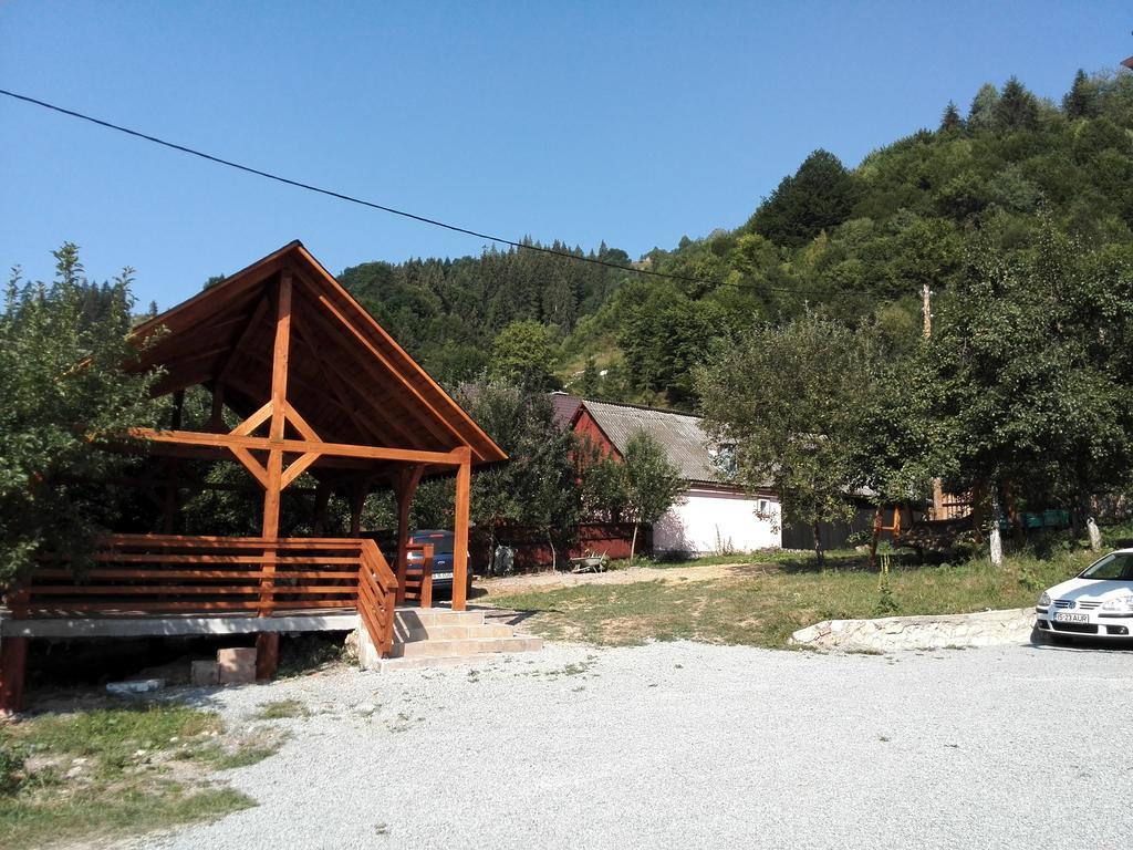 Pensiunea Piatra Mandrutului Scarisoara  Esterno foto