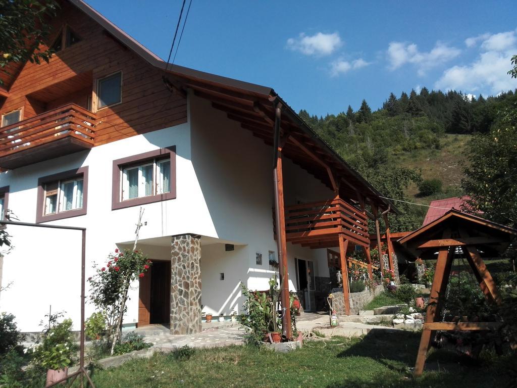 Pensiunea Piatra Mandrutului Scarisoara  Esterno foto