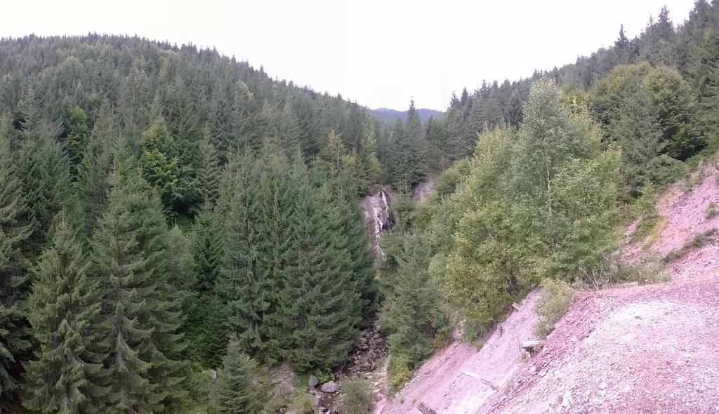 Pensiunea Piatra Mandrutului Scarisoara  Esterno foto