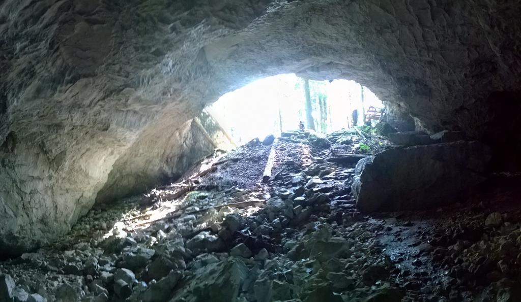 Pensiunea Piatra Mandrutului Scarisoara  Esterno foto