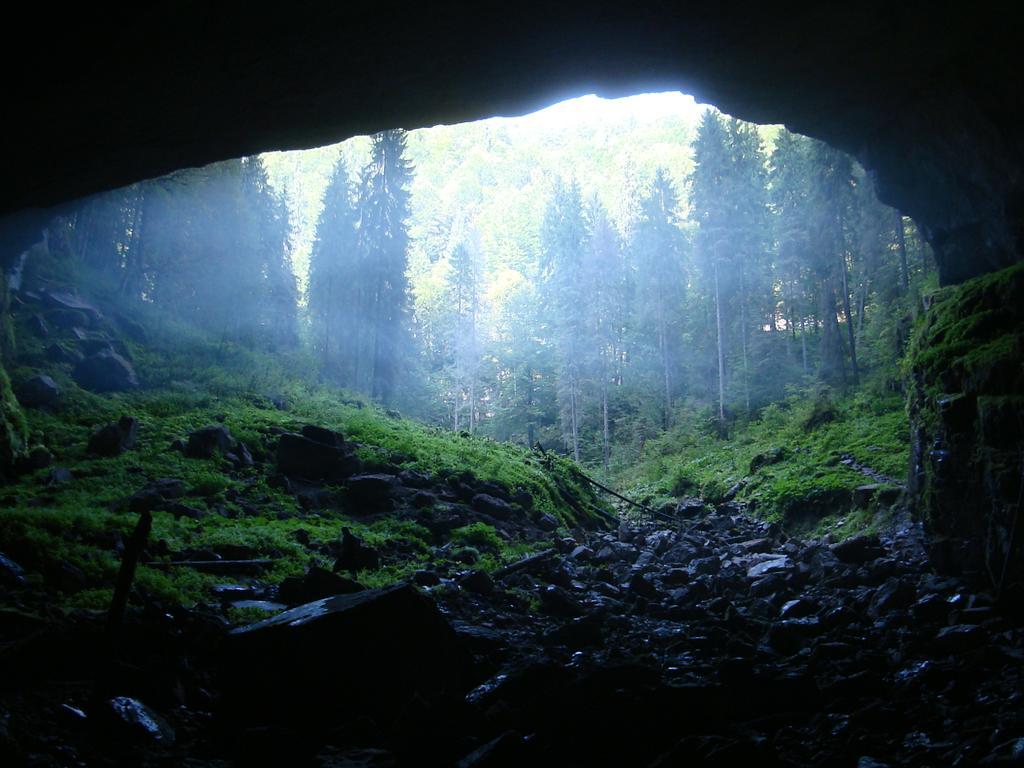 Pensiunea Piatra Mandrutului Scarisoara  Esterno foto