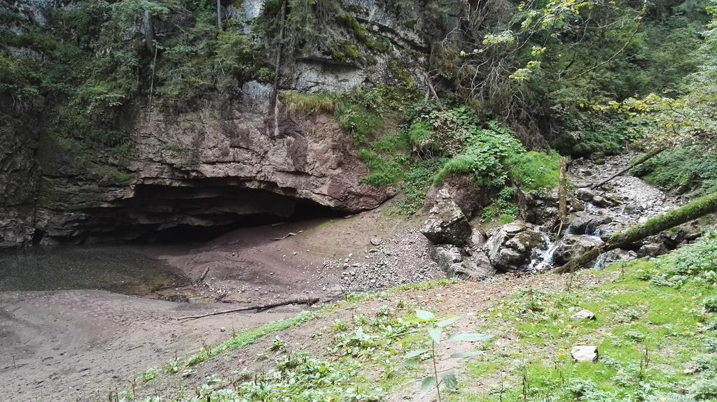 Pensiunea Piatra Mandrutului Scarisoara  Esterno foto