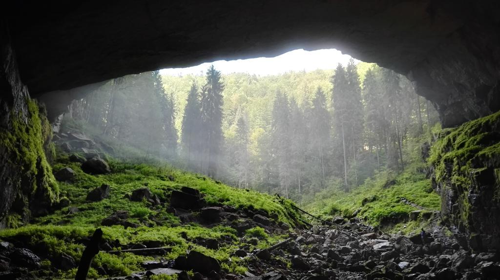 Pensiunea Piatra Mandrutului Scarisoara  Esterno foto