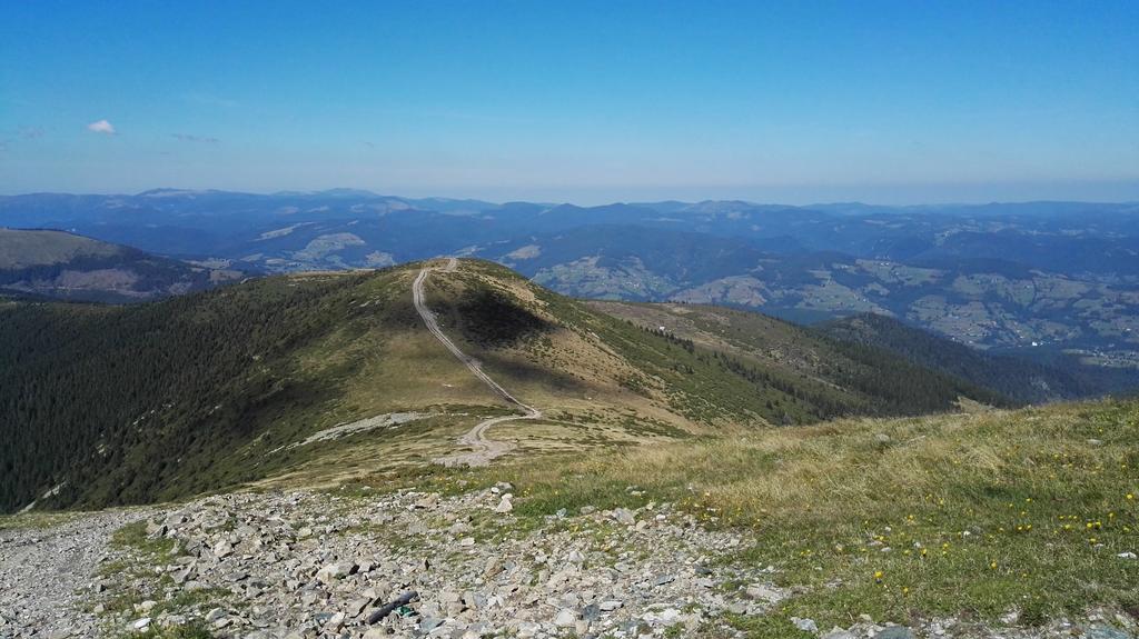 Pensiunea Piatra Mandrutului Scarisoara  Esterno foto
