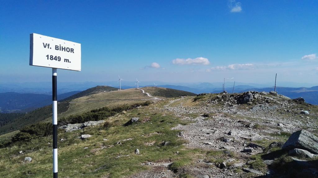 Pensiunea Piatra Mandrutului Scarisoara  Esterno foto