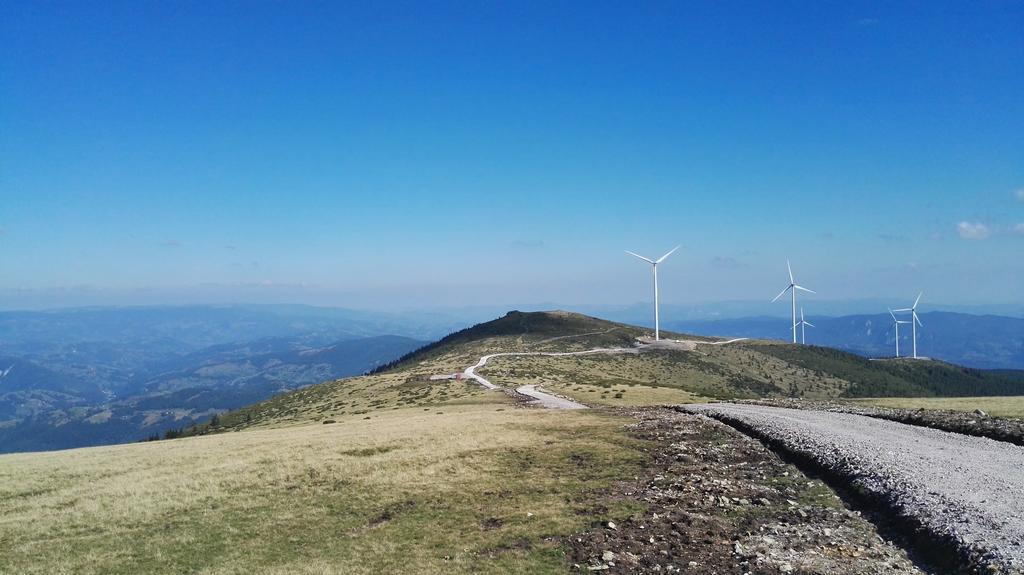 Pensiunea Piatra Mandrutului Scarisoara  Esterno foto