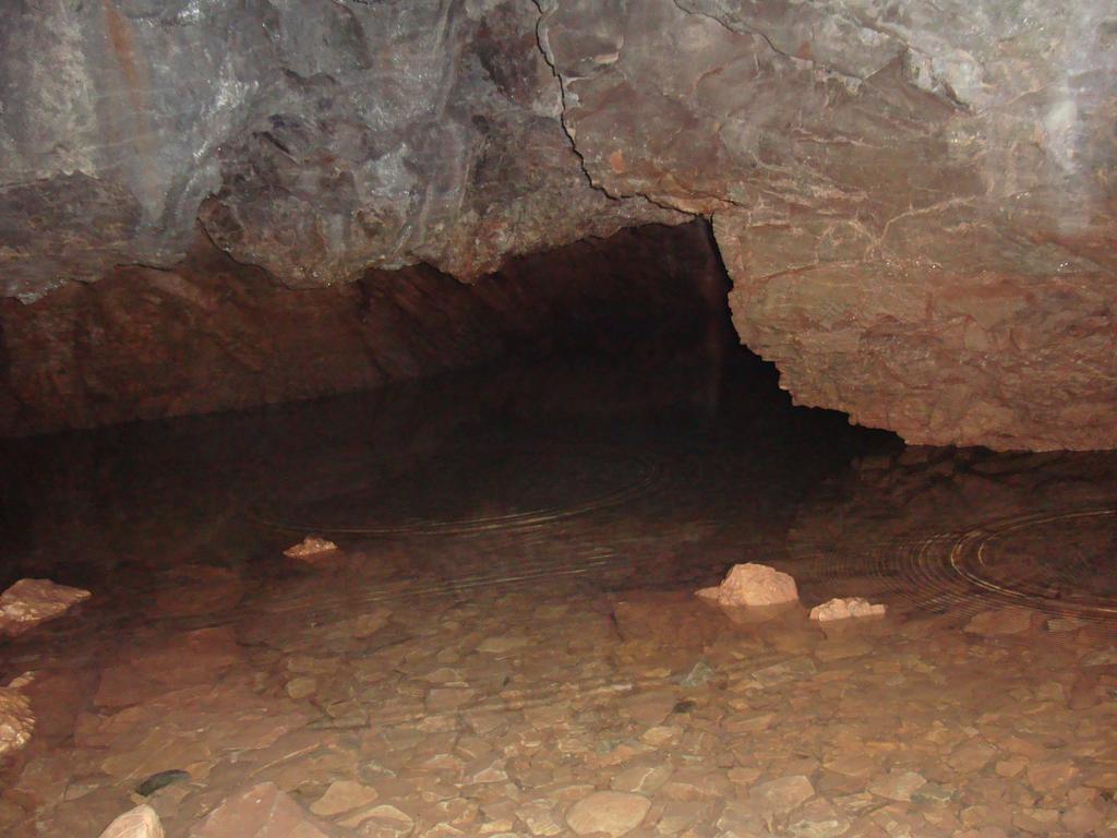 Pensiunea Piatra Mandrutului Scarisoara  Esterno foto