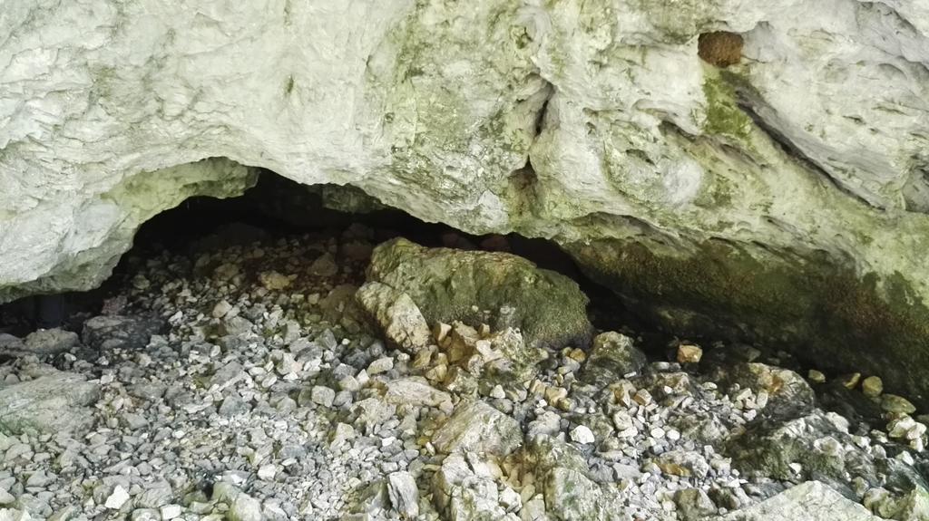 Pensiunea Piatra Mandrutului Scarisoara  Esterno foto