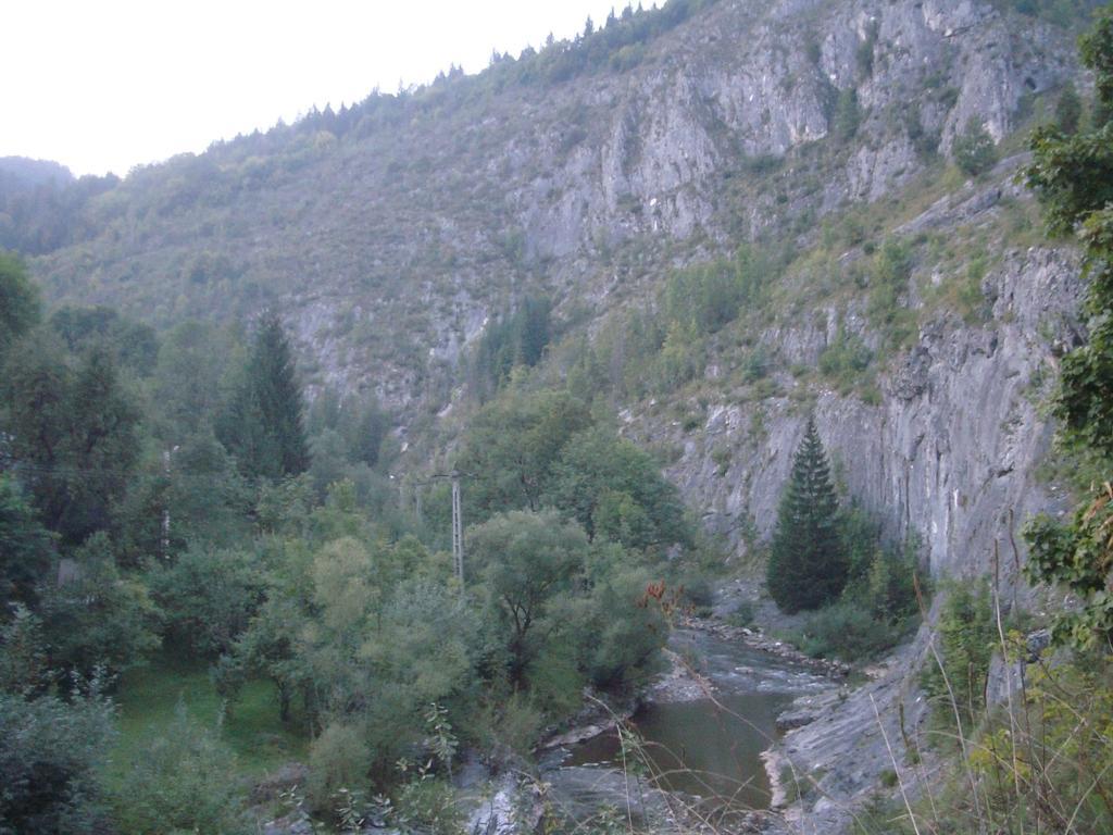 Pensiunea Piatra Mandrutului Scarisoara  Esterno foto